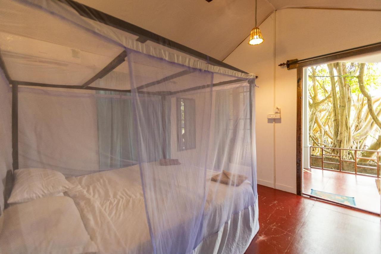 Dreamcatcher Unique Retreat Yoga & Spa بالوليم المظهر الخارجي الصورة